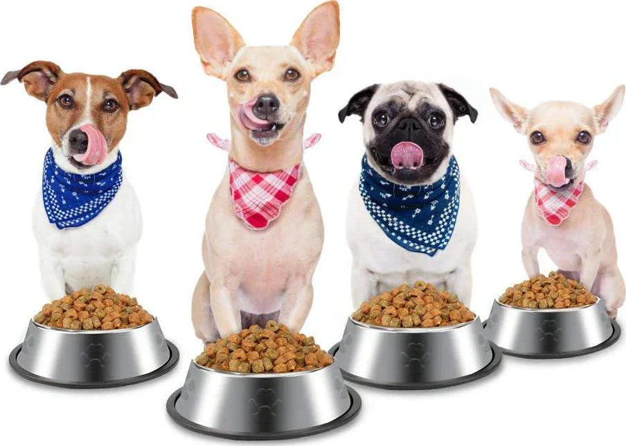 Glucosamine for Dogs - Why It's So Important