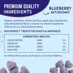 BLUEBERRY BURST! -Bags, Delivered Free