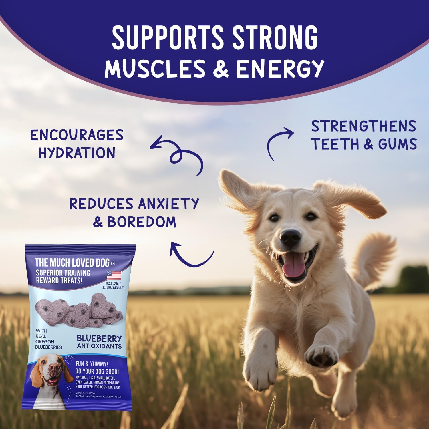 Much Loved Dog Training Treats - Blueberry Antioxidant 6 oz.