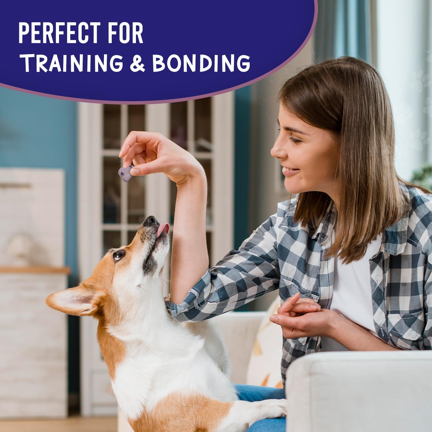 Much Loved Dog Training Treats - Variety Pack (2-Pack)