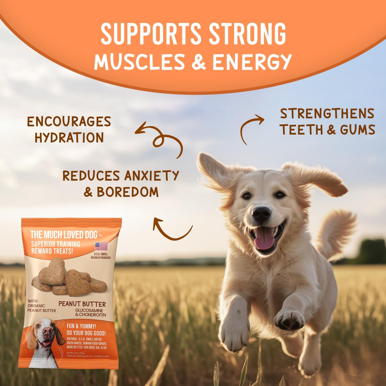 Much Loved Dog Training Treats - Peanut Butter Joint Support