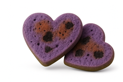 BLUEBERRY BURST "FRESH-KEEPER™ BUNDLE"