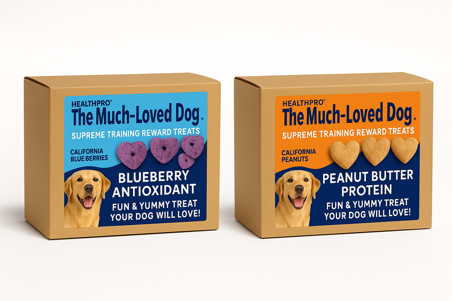 BOW-WOW STARTER BOX COMBO